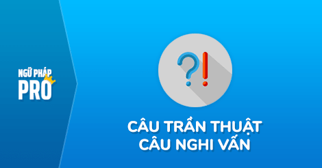 Câu trần thuật & Câu nghi vấn