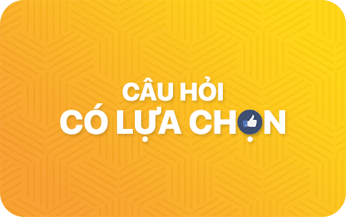 Câu hỏi có nhiều lựa chọn