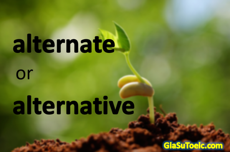 phân biệt alternate và alternative