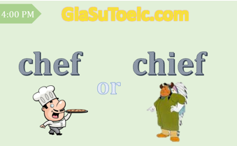 phân biệt chef và chief
