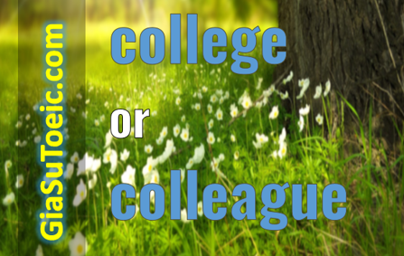 phân biệt college và colleague