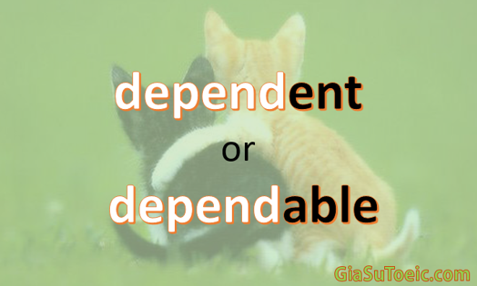 phân biệt dependent và dependable