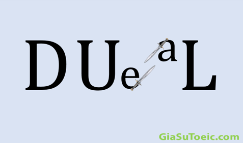 phân biệt dual và duel