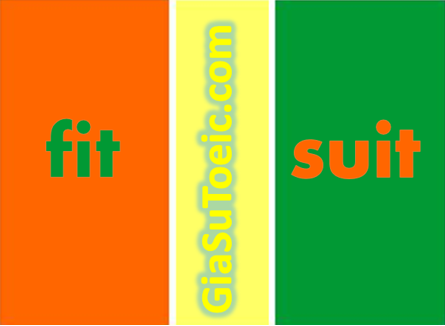 Phân biệt fit và suit