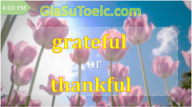 phân biệt grateful và thankful