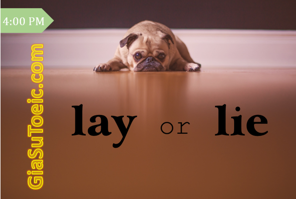 phân biệt lay và lie