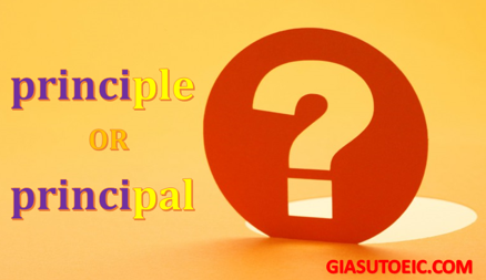phân biệt principle và principal