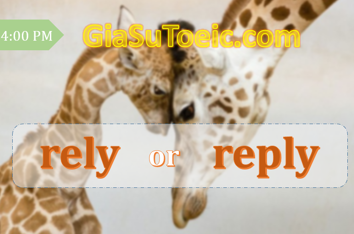 phân biệt rely và reply