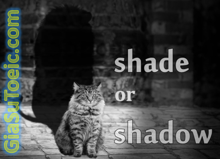 phân biệt shade và shadow
