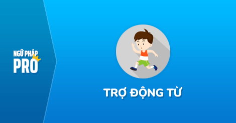 Trợ động từ