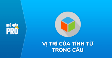 Vị Trí Của Tính Từ Trong Câu