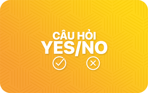 Câu hỏi Yes/No