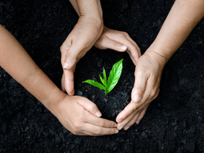 Minh họa nghĩa của từ conserve