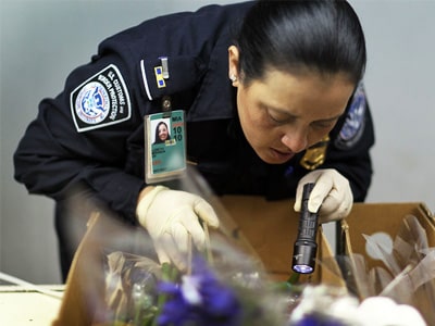 Minh họa nghĩa của từ inspect