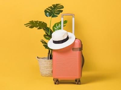 Minh họa nghĩa của từ luggage