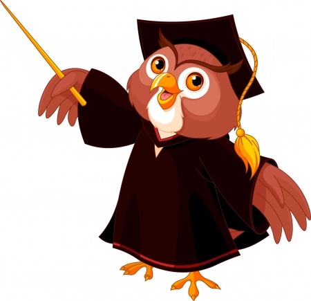 Minh họa nghĩa của từ wise